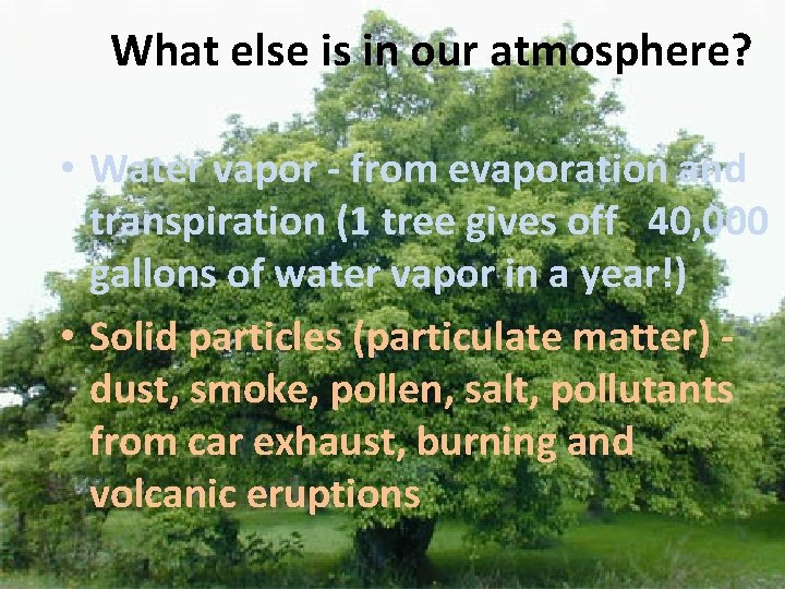 What else is in our atmosphere? • Water vapor - from evaporation and transpiration