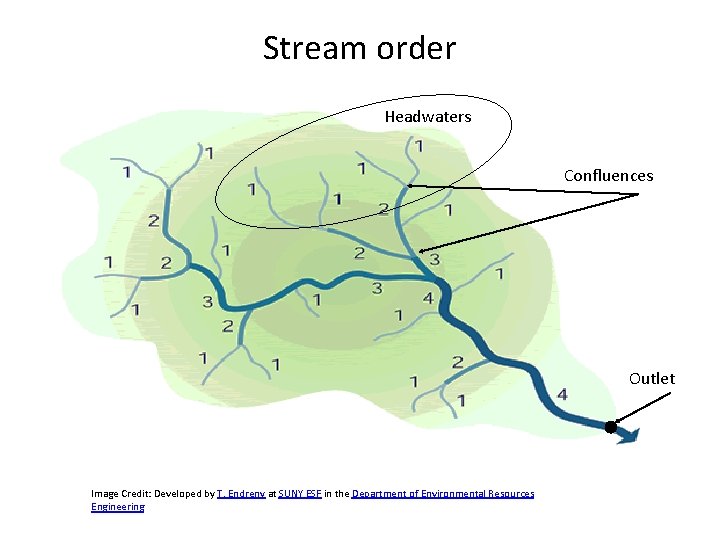 Stream order Headwaters Confluences Outlet Image Credit: Developed by T. Endreny at SUNY ESF Stream order Headwaters Confluences Outlet Image Credit: Developed by T. Endreny at SUNY ESF