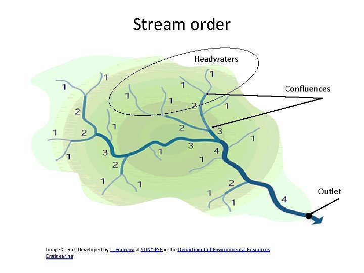 Stream order Headwaters Confluences Outlet Image Credit: Developed by T. Endreny at SUNY ESF