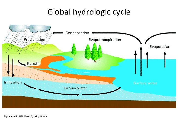 Global hydrologic cycle Figure credit: URI Water Quality Home 