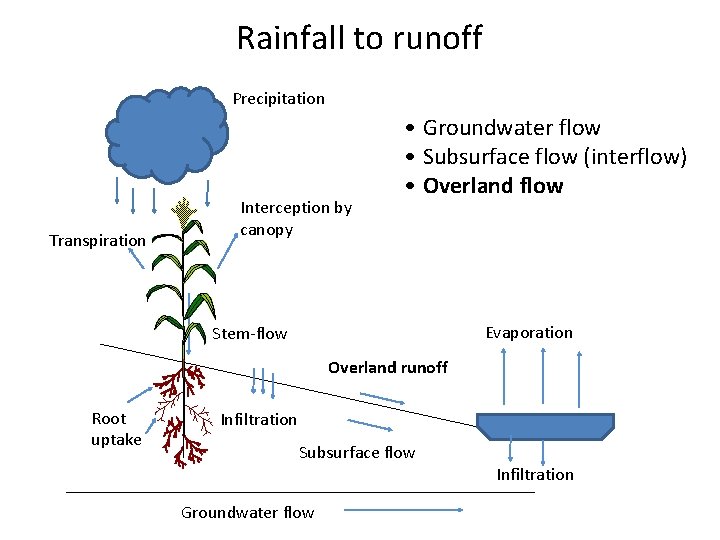 Rainfall to runoff Precipitation Transpiration Interception by canopy • Groundwater flow • Subsurface flow