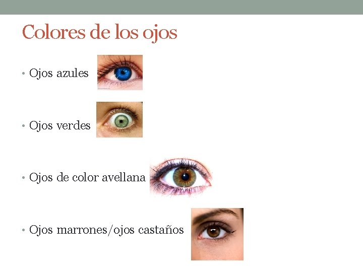 Colores de los ojos • Ojos azules • Ojos verdes • Ojos de color