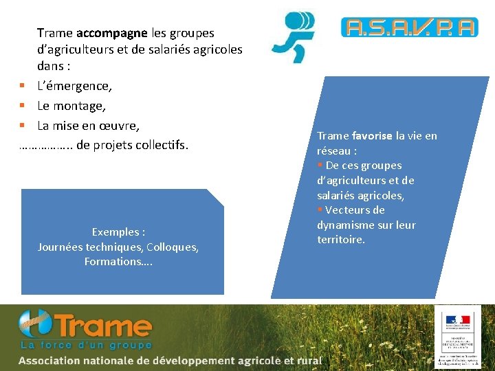 Trame accompagne les groupes d’agriculteurs et de salariés agricoles dans : § L’émergence, §