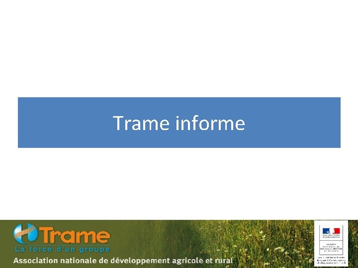 Trame informe 