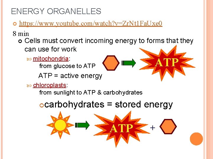 ENERGY ORGANELLES https: //www. youtube. com/watch? v=Zr. Nt 1 Fa. Uxe 0 8 min