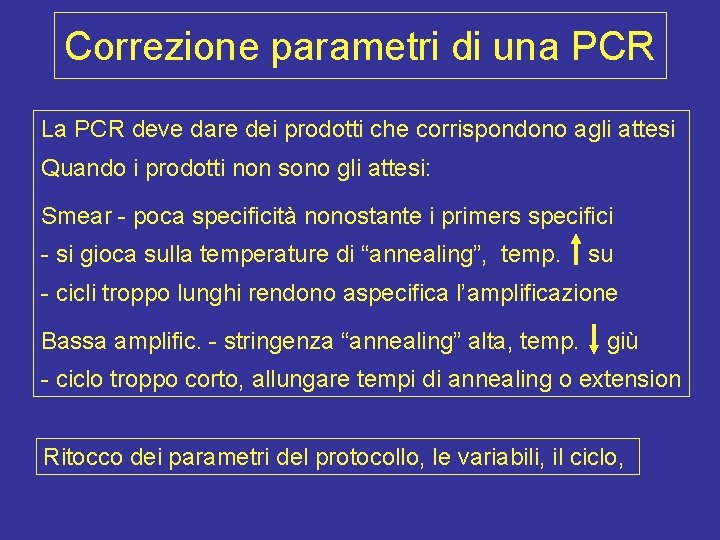 Correzione parametri di una PCR La PCR deve dare dei prodotti che corrispondono agli