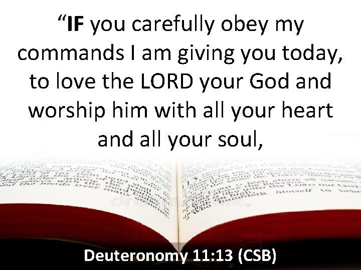 “IF you carefully obey my commands I am giving you today, to love the
