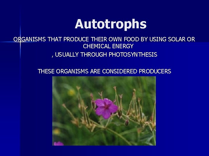 Autotrophs ORGANISMS THAT PRODUCE THEIR OWN FOOD BY USING SOLAR OR CHEMICAL ENERGY ,