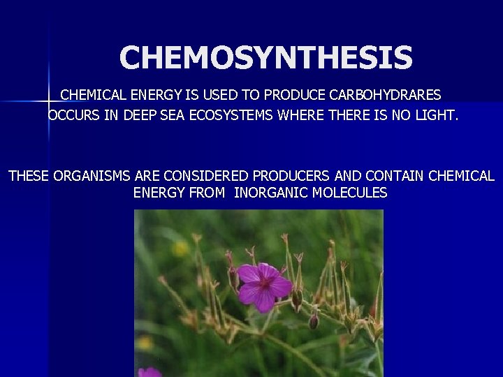 CHEMOSYNTHESIS CHEMICAL ENERGY IS USED TO PRODUCE CARBOHYDRARES OCCURS IN DEEP SEA ECOSYSTEMS WHERE
