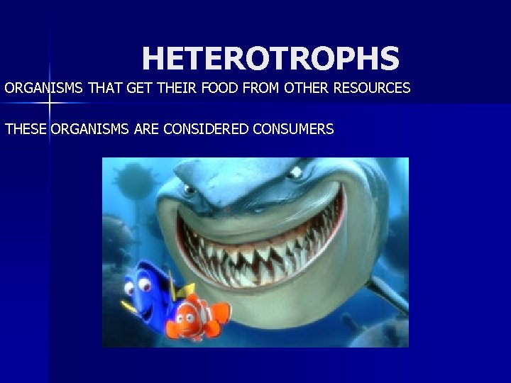 HETEROTROPHS ORGANISMS THAT GET THEIR FOOD FROM OTHER RESOURCES THESE ORGANISMS ARE CONSIDERED CONSUMERS