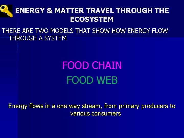 ENERGY & MATTER TRAVEL THROUGH THE ECOSYSTEM THERE ARE TWO MODELS THAT SHOW ENERGY