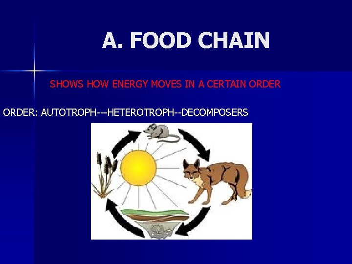 A. FOOD CHAIN SHOWS HOW ENERGY MOVES IN A CERTAIN ORDER: AUTOTROPH---HETEROTROPH--DECOMPOSERS 