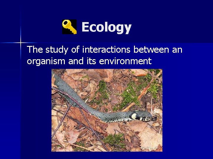 Ecology The study of interactions between an organism and its environment 