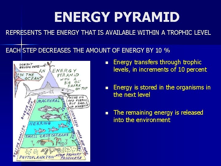 ENERGY PYRAMID REPRESENTS THE ENERGY THAT IS AVAILABLE WITHIN A TROPHIC LEVEL EACH STEP