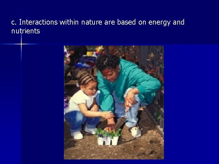 c. Interactions within nature are based on energy and nutrients 