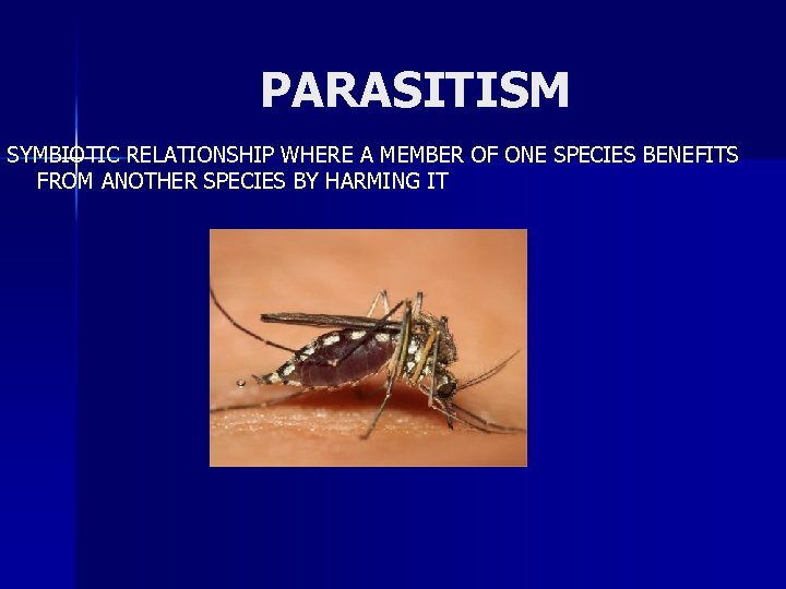 PARASITISM SYMBIOTIC RELATIONSHIP WHERE A MEMBER OF ONE SPECIES BENEFITS FROM ANOTHER SPECIES BY