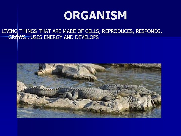 ORGANISM LIVING THINGS THAT ARE MADE OF CELLS, REPRODUCES, RESPONDS, GROWS , USES ENERGY