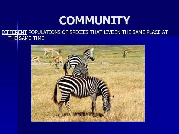 COMMUNITY DIFFERENT POPULATIONS OF SPECIES THAT LIVE IN THE SAME PLACE AT THE SAME