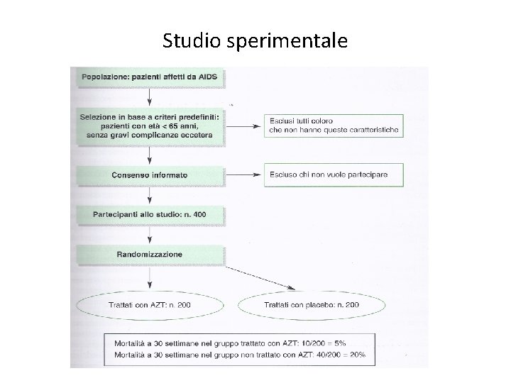 Studio sperimentale 