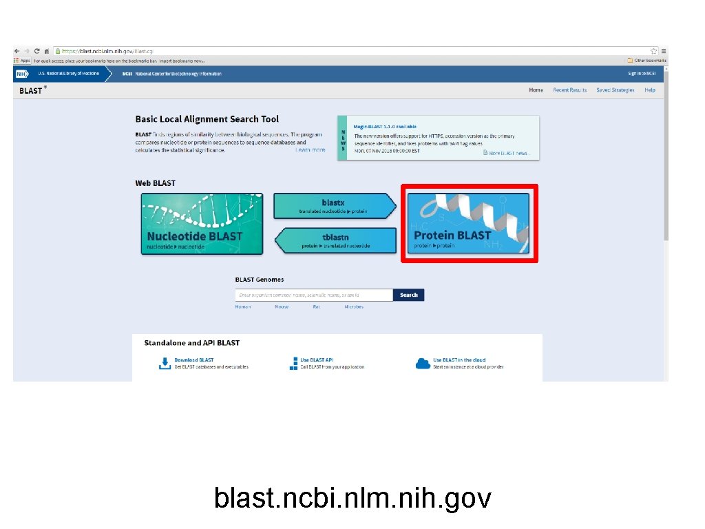 blast. ncbi. nlm. nih. gov 
