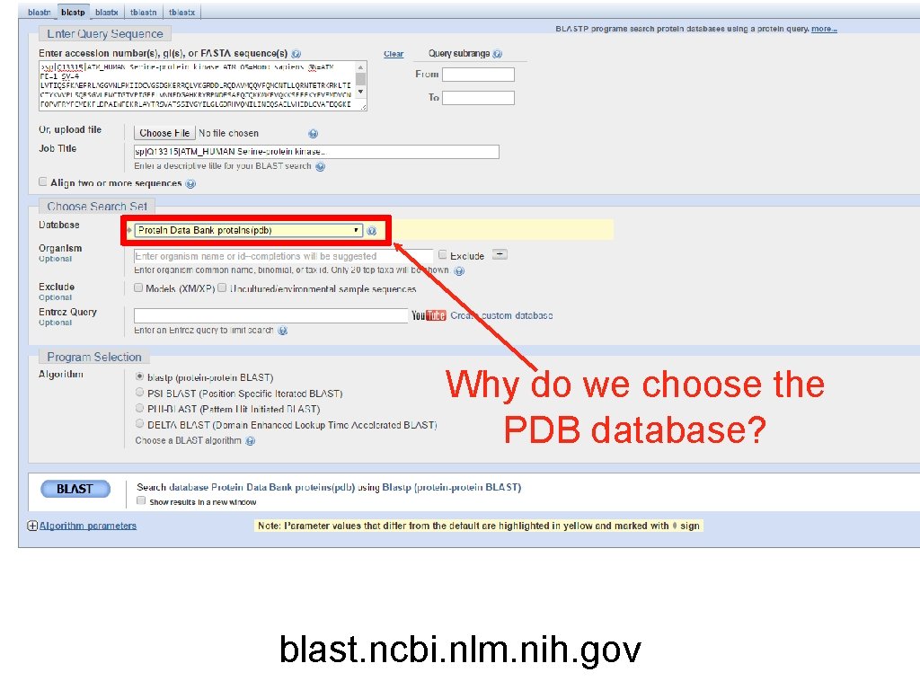 Why do we choose the PDB database? blast. ncbi. nlm. nih. gov 