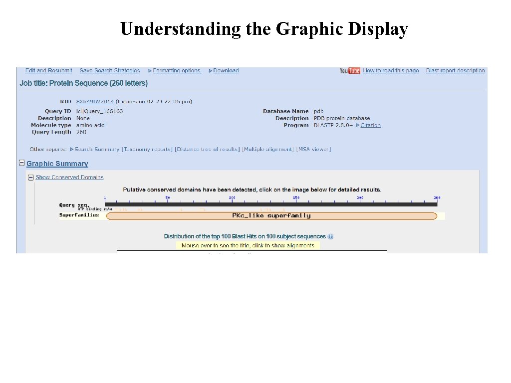 Understanding the Graphic Display 