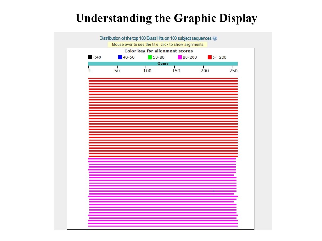 Understanding the Graphic Display 