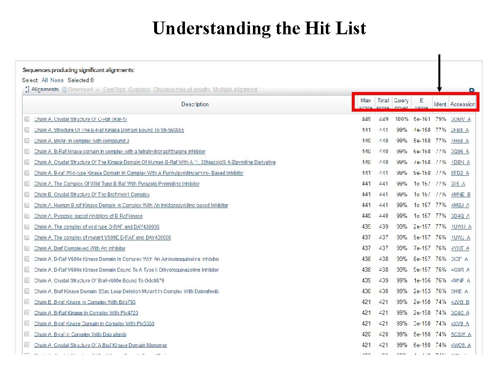 Understanding the Hit List 