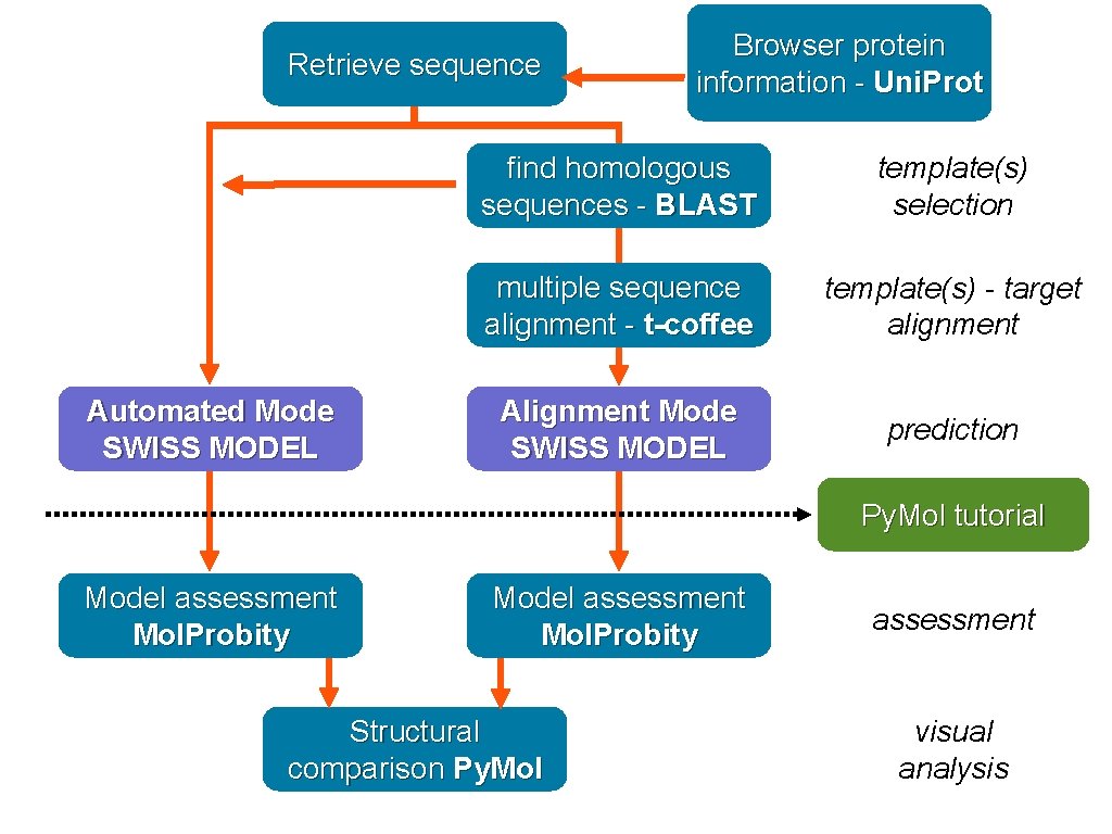 Retrieve sequence Automated Mode SWISS MODEL Browser protein information - Uni. Prot find homologous