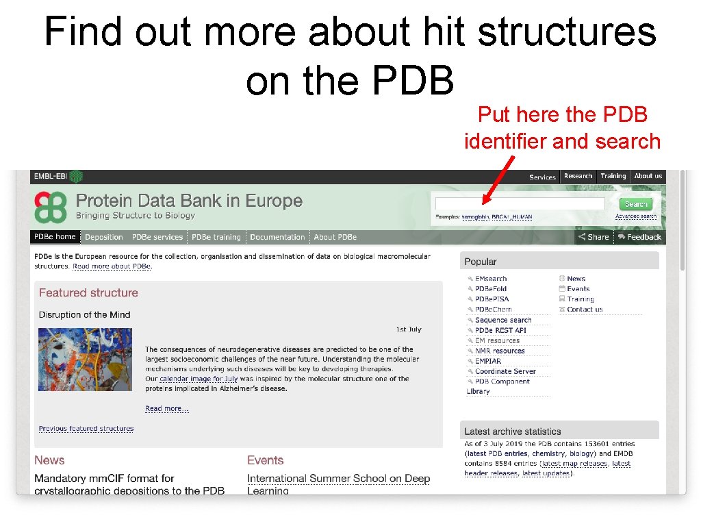 Find out more about hit structures on the PDB Put here the PDB identifier