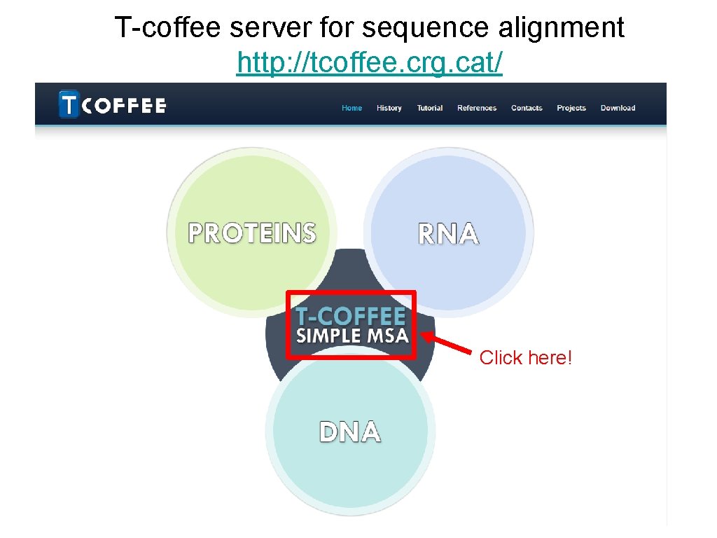 T-coffee server for sequence alignment http: //tcoffee. crg. cat/ Click here! 