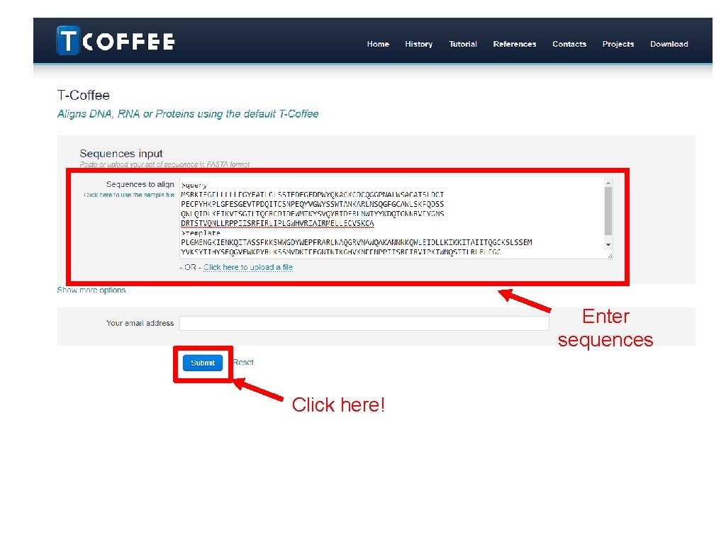 Enter sequences Click here! 