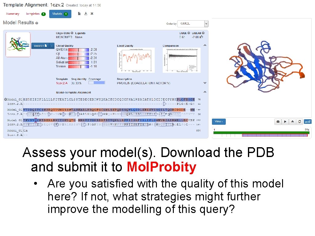 Assess your model(s). Download the PDB and submit it to Mol. Probity • Are