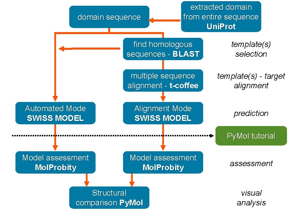 domain sequence Automated Mode SWISS MODEL extracted domain from entire sequence Uni. Prot find