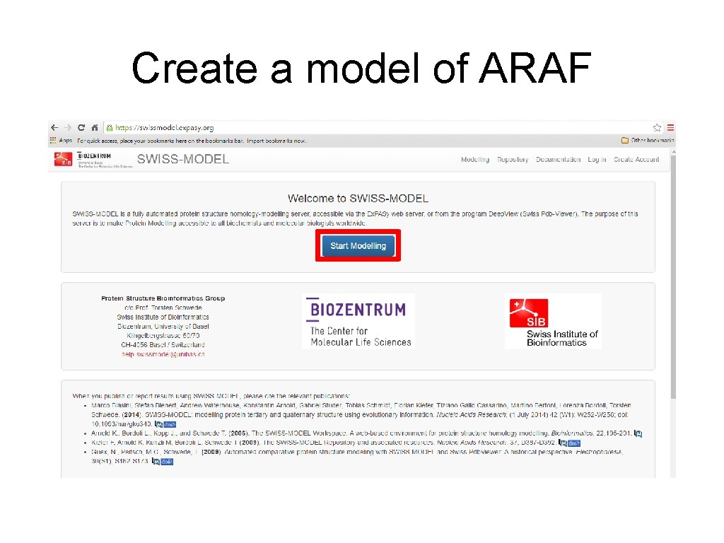 Create a model of ARAF 