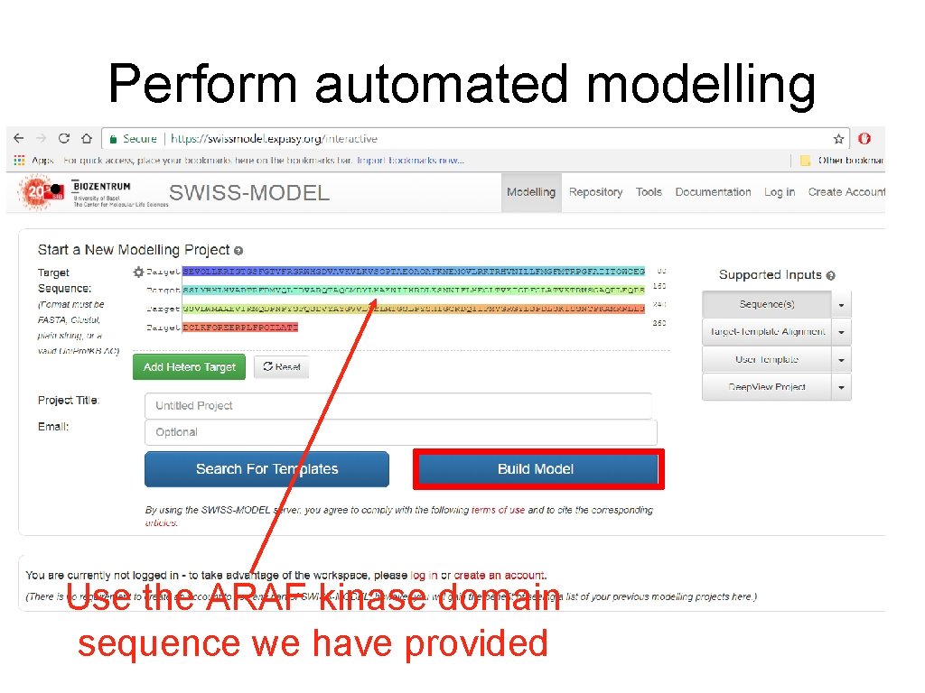 Perform automated modelling • Use the ARAF kinase domain sequence we have provided 