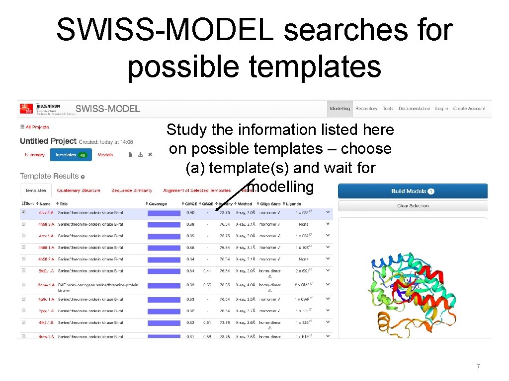 SWISS-MODEL searches for possible templates Study the information listed here on possible templates –