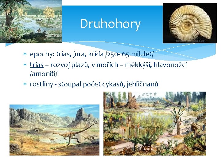 Druhohory epochy: trias, jura, křída /250 - 65 mil. let/ trias – rozvoj plazů,