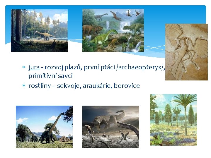  jura - rozvoj plazů, první ptáci /archaeopteryx/, primitivní savci rostliny – sekvoje, araukárie,