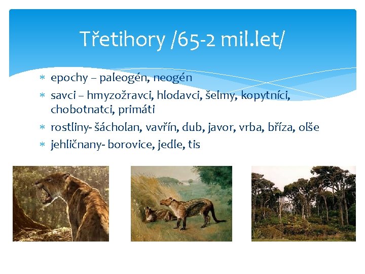 Třetihory /65 -2 mil. let/ epochy – paleogén, neogén savci – hmyzožravci, hlodavci, šelmy,