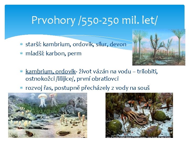 Prvohory /550 -250 mil. let/ starší: kambrium, ordovik, silur, devon mladší: karbon, perm kambrium,