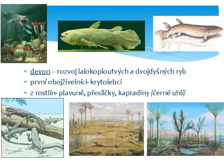  devon – rozvoj lalokoploutvých a dvojdyšných ryb první obojživelníci- krytolebci z rostlin- plavuně,