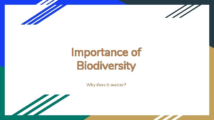 Importance of Biodiversity Why does it matter? 
