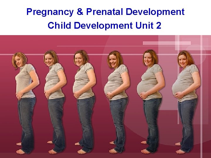 Pregnancy & Prenatal Development Child Development Unit 2 
