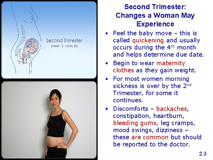 Second Trimester: Changes a Woman May Experience • Feel the baby move – this