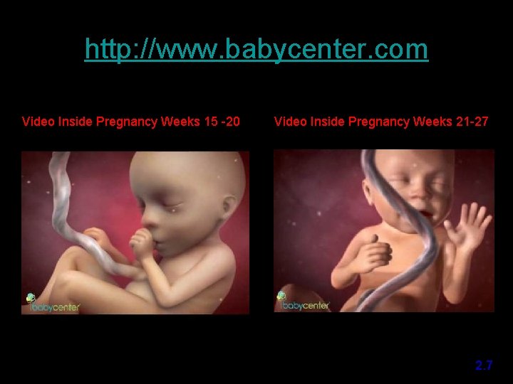 http: //www. babycenter. com Video Inside Pregnancy Weeks 15 -20 Video Inside Pregnancy Weeks