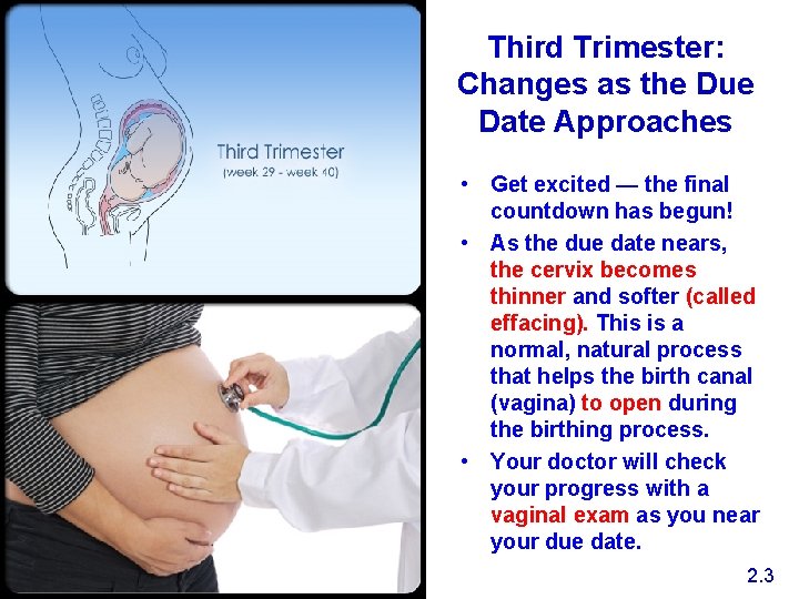 Third Trimester: Changes as the Due Date Approaches • Get excited — the final