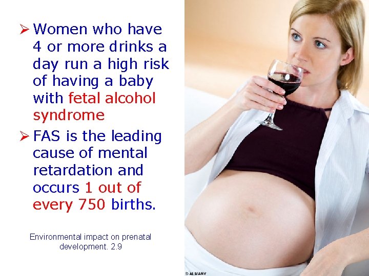 Ø Women who have 4 or more drinks a day run a high risk