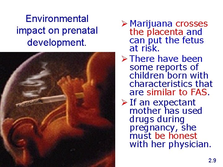 Environmental impact on prenatal development. Ø Marijuana crosses the placenta and can put the