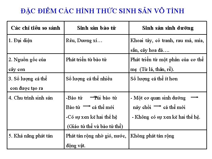 ĐẶC ĐIỂM CÁC HÌNH THỨC SINH SẢN VÔ TÍNH Các chỉ tiêu so sánh